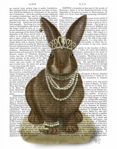 Rabbit and Pearls, Full White Modern Wood Framed Art Print with Double Matting by Fab Funky