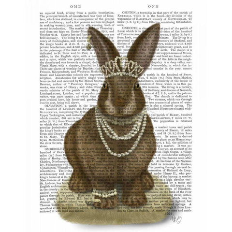 Rabbit and Pearls, Full Black Modern Wood Framed Art Print by Fab Funky