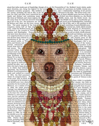 Yellow Labrador and Tiara, Portrait White Modern Wood Framed Art Print with Double Matting by Fab Funky