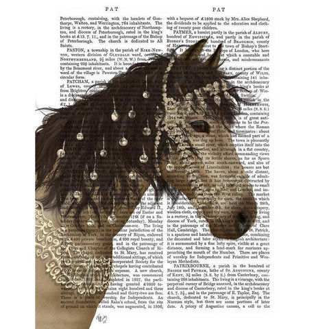 Horse Bucksin with Jewelled Bridle Black Modern Wood Framed Art Print with Double Matting by Fab Funky