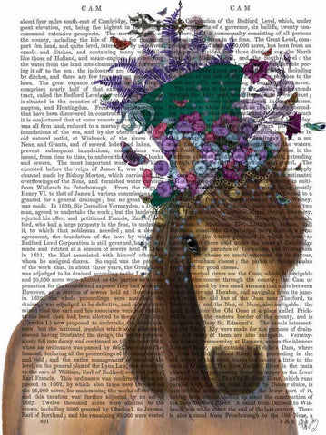 Horse Mad Hatter White Modern Wood Framed Art Print with Double Matting by Fab Funky