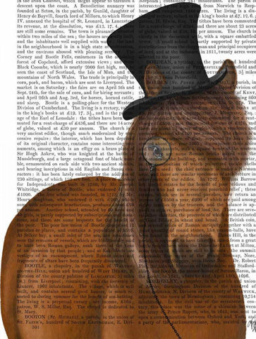 Horse Top Hat and Monocle White Modern Wood Framed Art Print with Double Matting by Fab Funky