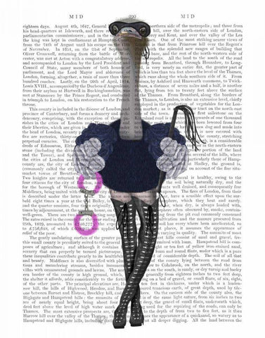 Ostrich with Kinky Boots Black Ornate Wood Framed Art Print with Double Matting by Fab Funky