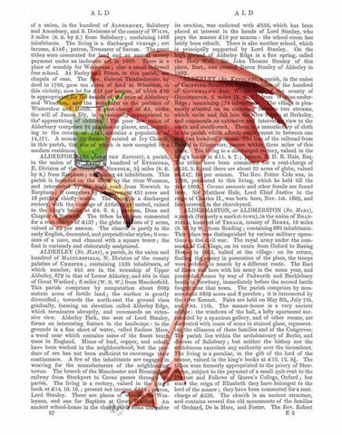 Flamingo and Cocktail 1 Black Ornate Wood Framed Art Print with Double Matting by Fab Funky