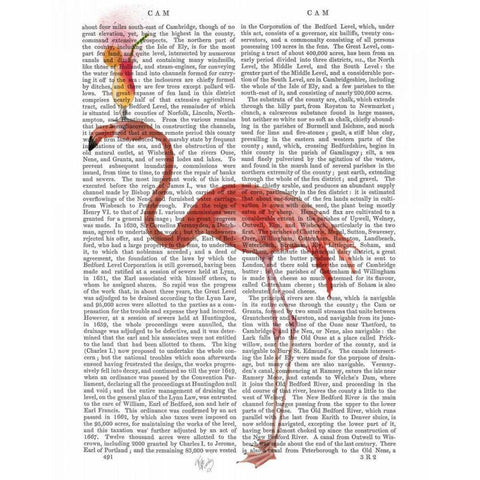 Flamingo and Cocktail 4 Black Modern Wood Framed Art Print with Double Matting by Fab Funky