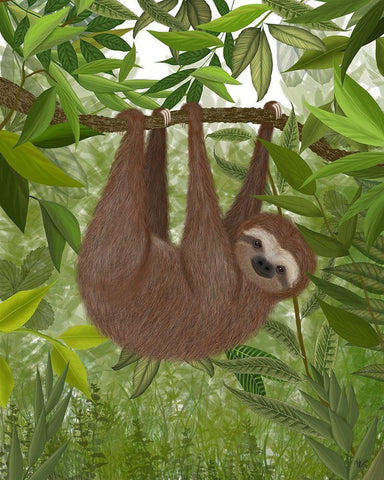 Sloth Hanging Around White Modern Wood Framed Art Print with Double Matting by Fab Funky