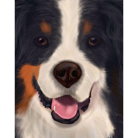 Bernese Big Dog White Modern Wood Framed Art Print by Fab Funky