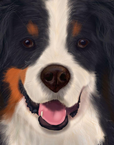 Bernese Big Dog Black Ornate Wood Framed Art Print with Double Matting by Fab Funky