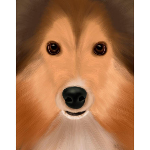 Shetland Sheepdog Big Dog White Modern Wood Framed Art Print by Fab Funky