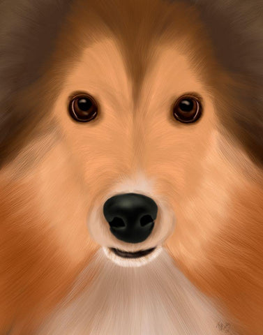 Shetland Sheepdog Big Dog Black Ornate Wood Framed Art Print with Double Matting by Fab Funky