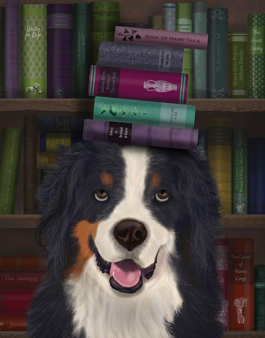 Bernese and Books White Modern Wood Framed Art Print with Double Matting by Fab Funky