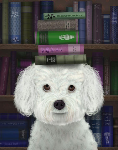 Bichon Frise and Books Black Ornate Wood Framed Art Print with Double Matting by Fab Funky