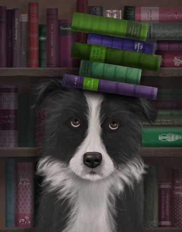 Border Collie, Black and White, and Books White Modern Wood Framed Art Print with Double Matting by Fab Funky