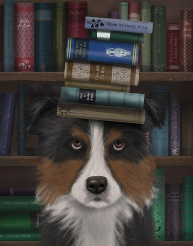 Border Collie, Tricolour, and Books White Modern Wood Framed Art Print with Double Matting by Fab Funky