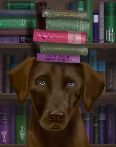 Brown Labrador and Books White Modern Wood Framed Art Print with Double Matting by Fab Funky