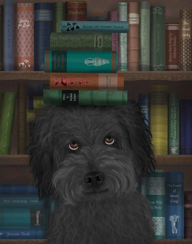 Labradoodle, Black, and Books White Modern Wood Framed Art Print with Double Matting by Fab Funky