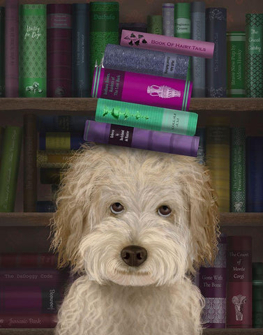 Labradoodle, Cream, and Books White Modern Wood Framed Art Print with Double Matting by Fab Funky