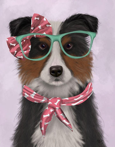 Border Collie, Tricolour, with Glasses and Scarf White Modern Wood Framed Art Print with Double Matting by Fab Funky