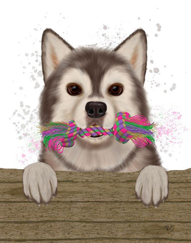 Husky and Rope Bone White Modern Wood Framed Art Print with Double Matting by Fab Funky