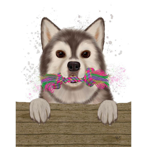 Husky and Rope Bone White Modern Wood Framed Art Print by Fab Funky