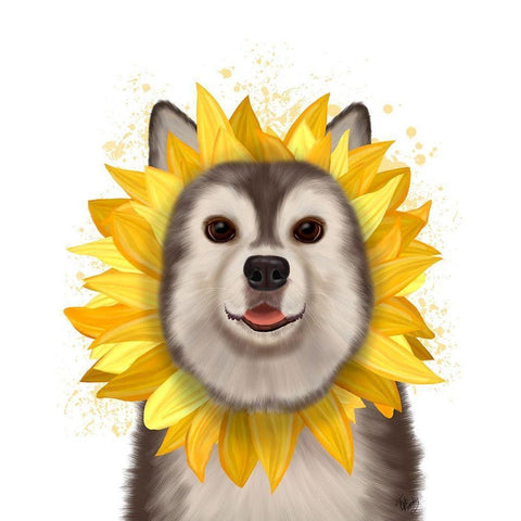 Husky Sunflower White Modern Wood Framed Art Print by Fab Funky