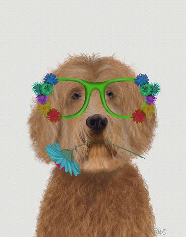 Labradoodle Golden and Flower Glasses White Modern Wood Framed Art Print with Double Matting by Fab Funky