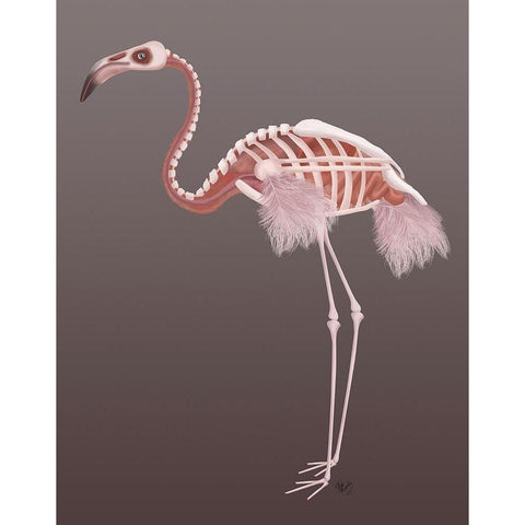 Flamingo Skeleton Gold Ornate Wood Framed Art Print with Double Matting by Fab Funky