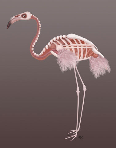 Flamingo Skeleton Black Ornate Wood Framed Art Print with Double Matting by Fab Funky