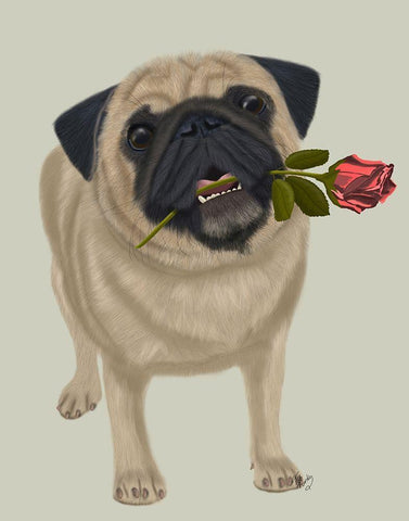 Pug and Rose White Modern Wood Framed Art Print with Double Matting by Fab Funky