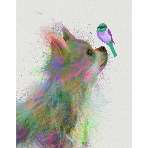 Chihuahua, Long Haired, Rainbow Splash White Modern Wood Framed Art Print by Fab Funky