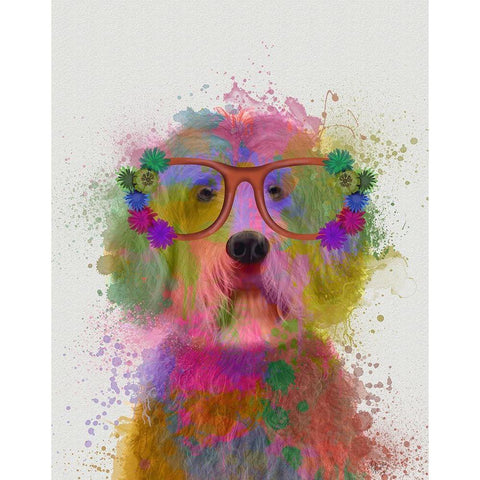 Labradoodle Rainbow Splash White Modern Wood Framed Art Print by Fab Funky