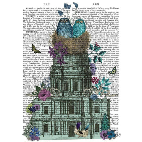 Owl Basilica Black Modern Wood Framed Art Print by Fab Funky