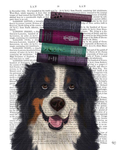 Bernese and Books Black Ornate Wood Framed Art Print with Double Matting by Fab Funky