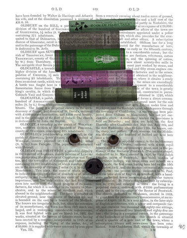 Bichon Frise and Books Black Ornate Wood Framed Art Print with Double Matting by Fab Funky