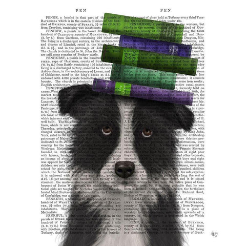 Border Collie, Black and White, and Books Gold Ornate Wood Framed Art Print with Double Matting by Fab Funky
