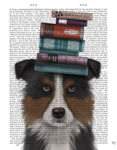 Border Collie, Tricolour, and Books White Modern Wood Framed Art Print with Double Matting by Fab Funky