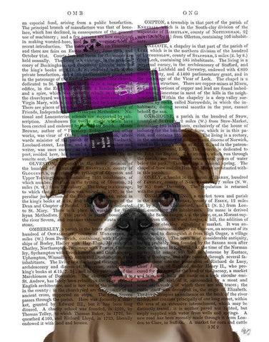 English Bulldog And Books White Modern Wood Framed Art Print with Double Matting by Fab Funky