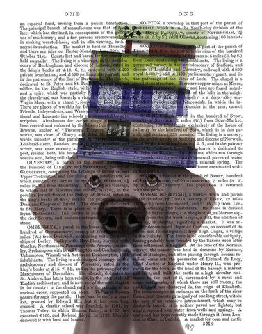 Great Dane and Books White Modern Wood Framed Art Print with Double Matting by Fab Funky