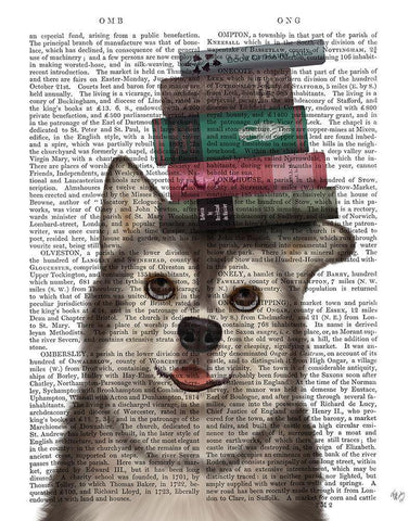 Husky and Books White Modern Wood Framed Art Print with Double Matting by Fab Funky