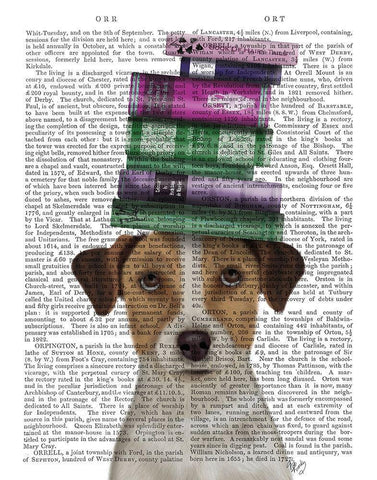 Jack Russell and Books White Modern Wood Framed Art Print with Double Matting by Fab Funky