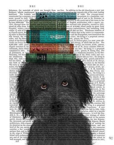Labradoodle, Black, and Books White Modern Wood Framed Art Print with Double Matting by Fab Funky