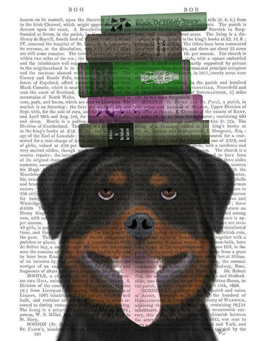 Rottweiller and Books White Modern Wood Framed Art Print with Double Matting by Fab Funky