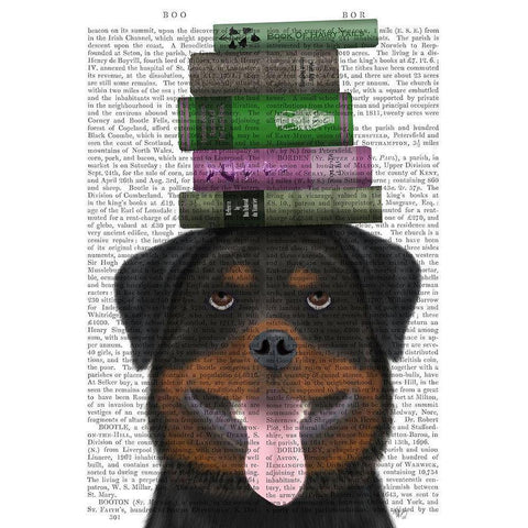 Rottweiller and Books White Modern Wood Framed Art Print by Fab Funky
