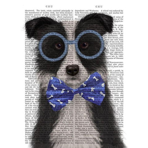 Border Collie, Black and White, with Glasses and Bow Tie Black Modern Wood Framed Art Print by Fab Funky