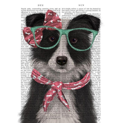 Border Collie, Black and White, with Glasses and Scarf White Modern Wood Framed Art Print by Fab Funky