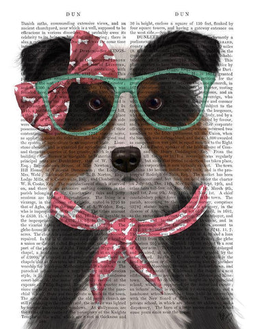 Border Collie, Tricolour, with Glasses and Scarf White Modern Wood Framed Art Print with Double Matting by Fab Funky