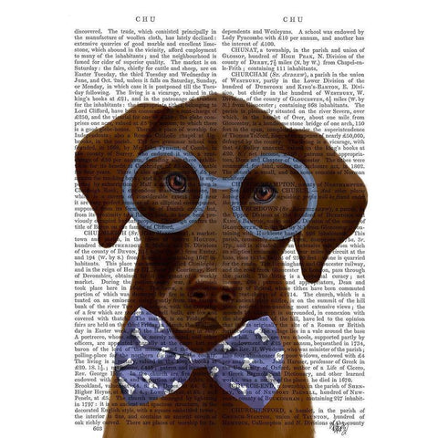 Chocolate Labrador with Glasses and Bow Tie Black Modern Wood Framed Art Print with Double Matting by Fab Funky