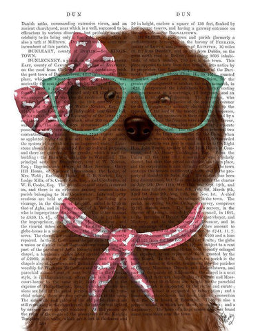 Cockerpoo, Chocolate, with Glasses and Scarf White Modern Wood Framed Art Print with Double Matting by Fab Funky