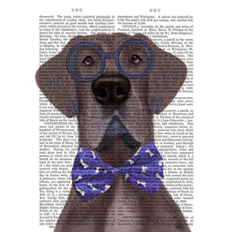 Great Dane with Glasses and Bow Tie White Modern Wood Framed Art Print by Fab Funky