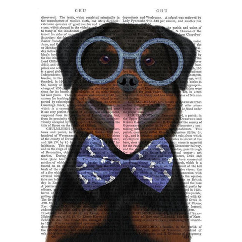 Rottweiler with Glasses and Bow Tie Black Modern Wood Framed Art Print with Double Matting by Fab Funky